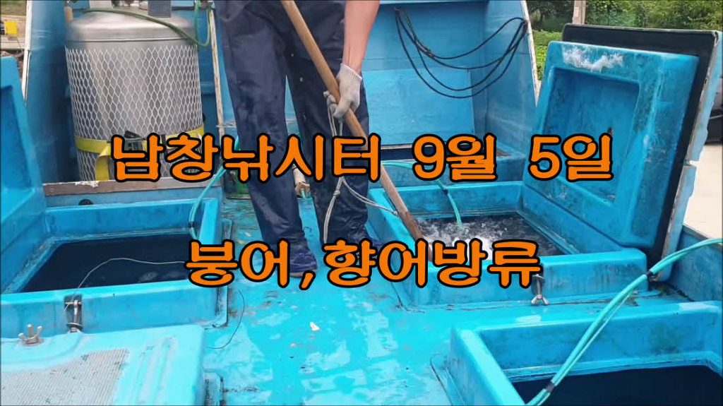 붕어랑메기랑 이미지