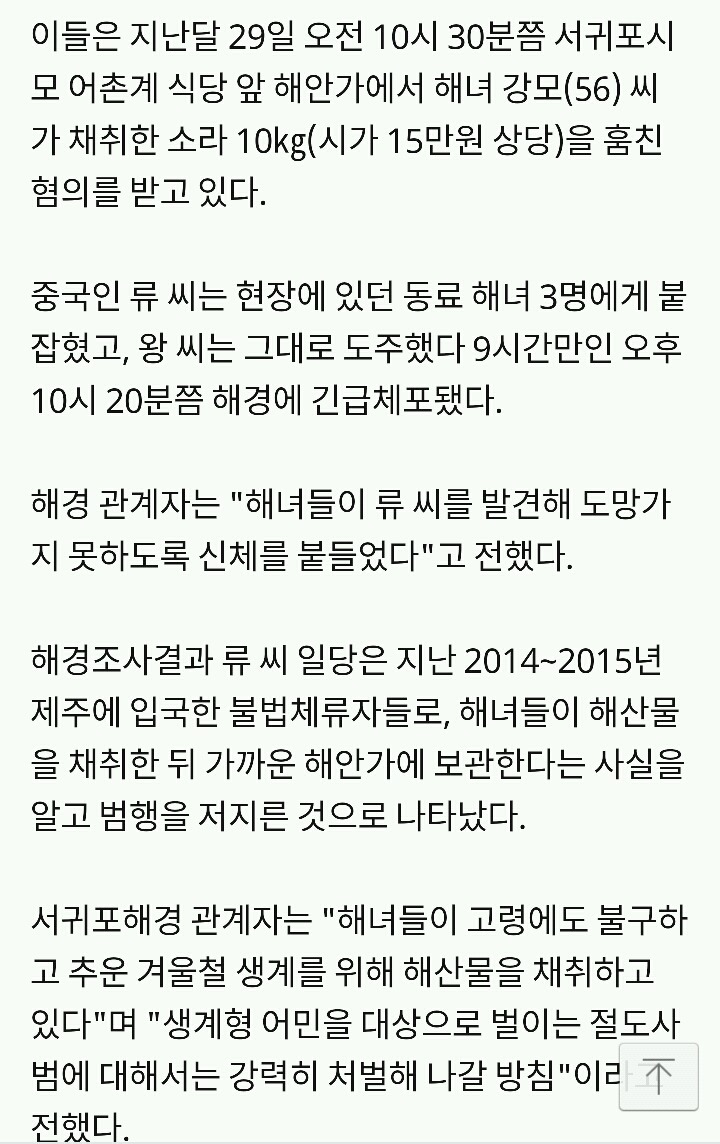 해녀할무니 소라훔친 대륙맨들 | 인스티즈
