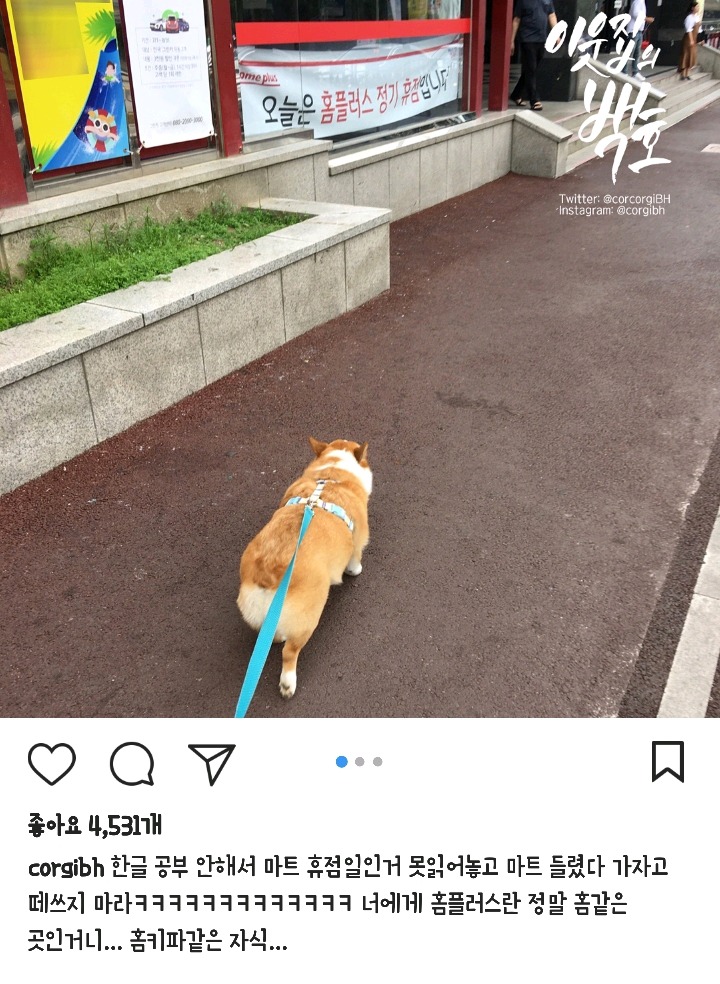 한글을 몰라서 슬픈 강아지.jpg | 인스티즈