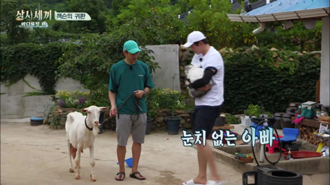 [삼시세끼] 처음 본 잭슨 때문에 놀라서 귱집사 팔 꼬옥 붙드는 고양이 쿵이.gif | 인스티즈