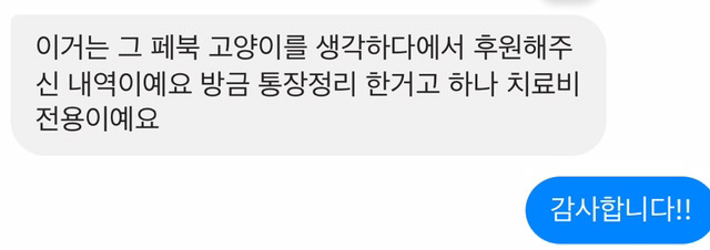 다친 고양이 한번씩만 봐주라..!! 아직도 후원 중이야! | 인스티즈