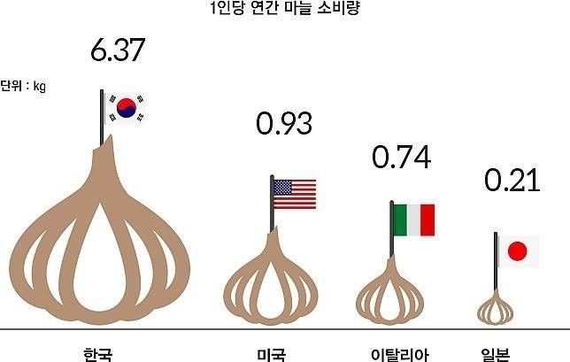 흡혈귀가 살지 못하는 나라 | 인스티즈