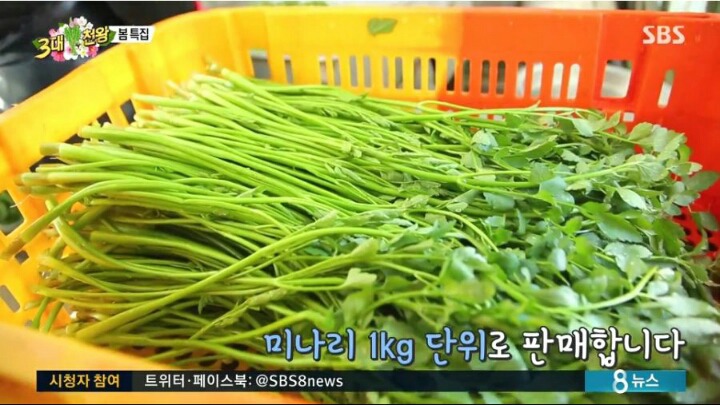 백종원이 추천하는 삼겹살+미나리.jpg | 인스티즈