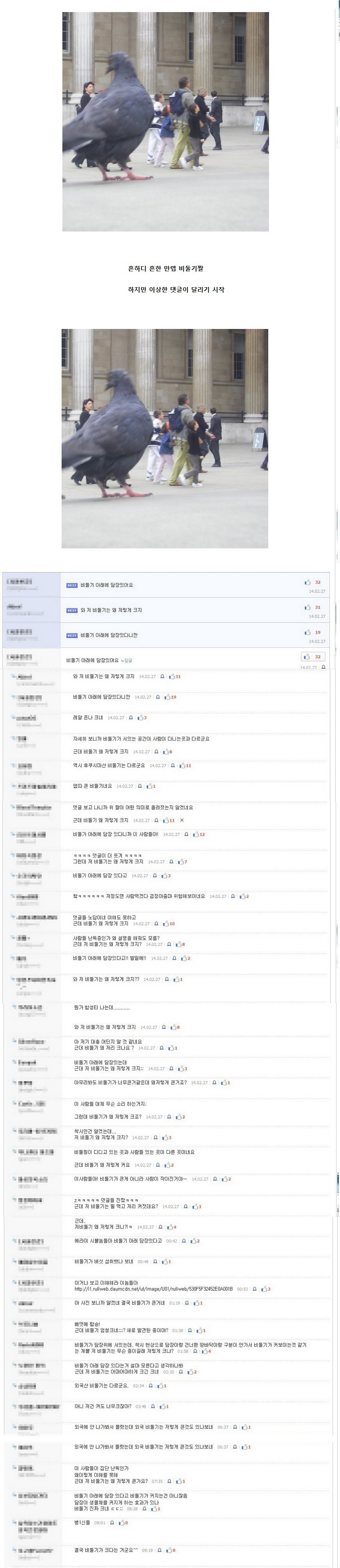 전설의 비둘기 사건.jpg | 인스티즈
