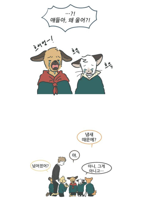 반려동물이 하늘나라(?)에서 하는 걱정 | 인스티즈