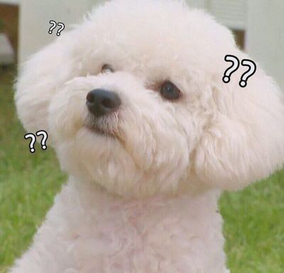 아 이미지