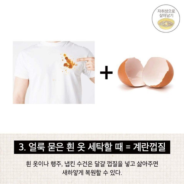 실생활에서 배우는 세탁법 | 인스티즈