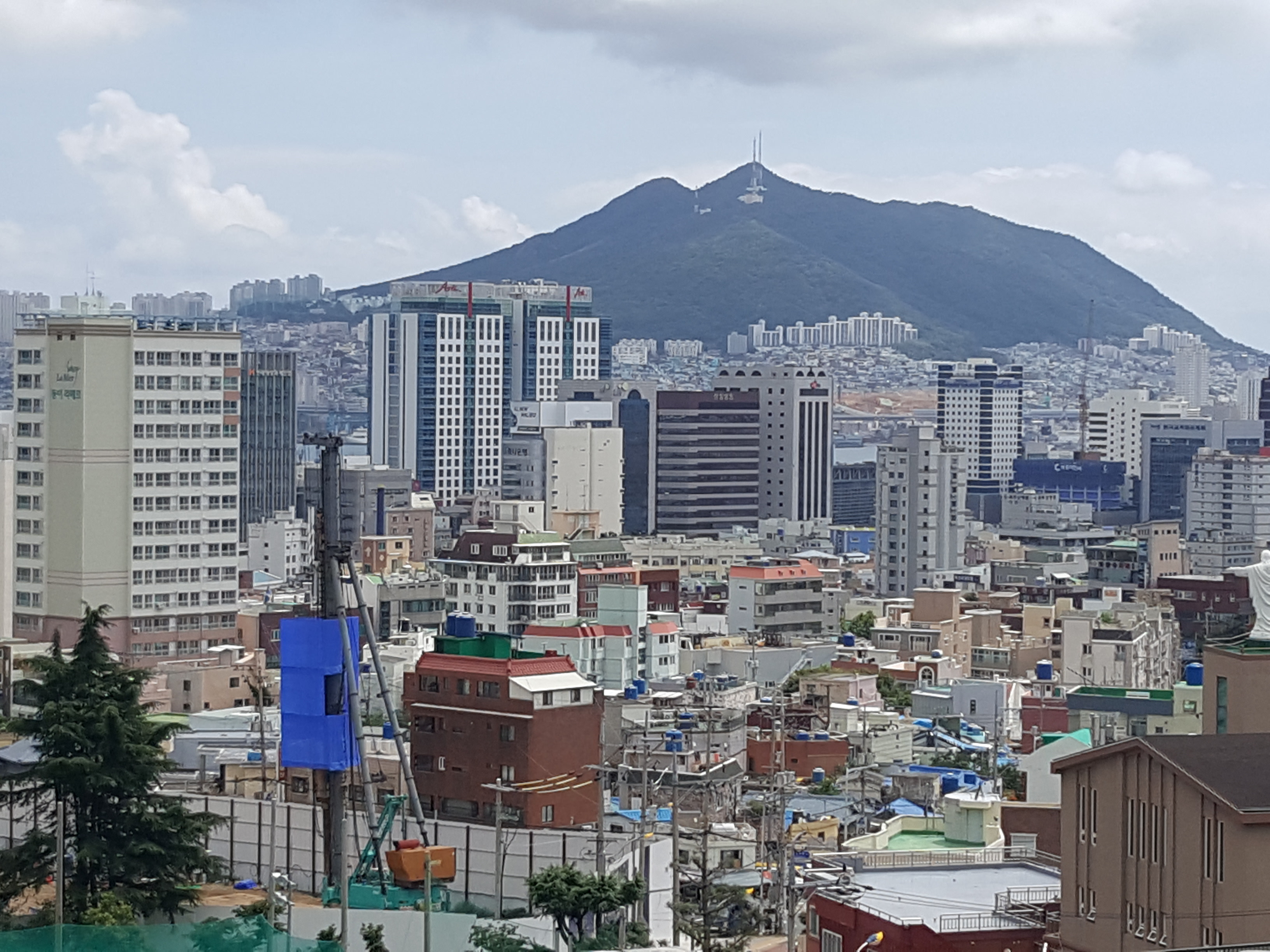 부산서중학교 이미지