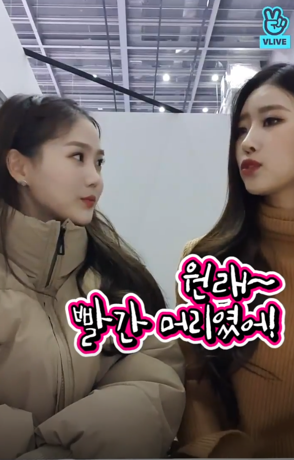 오마이걸 효정 : 야 이미주 너 왜 자꾸 내 머리 따라하니?? .jpg | 인스티즈