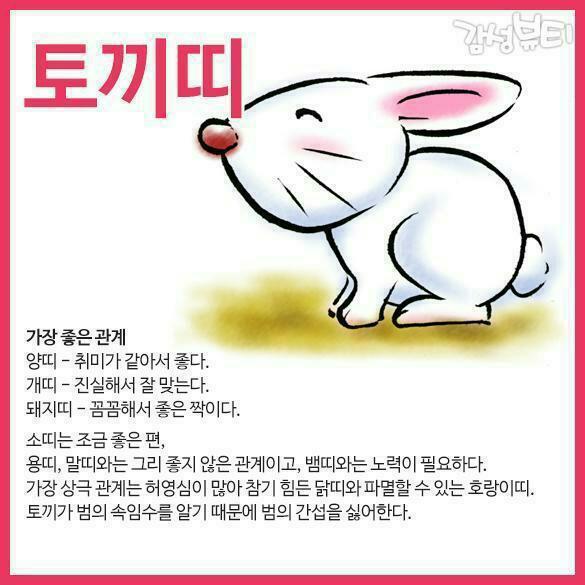 재미로2 이미지