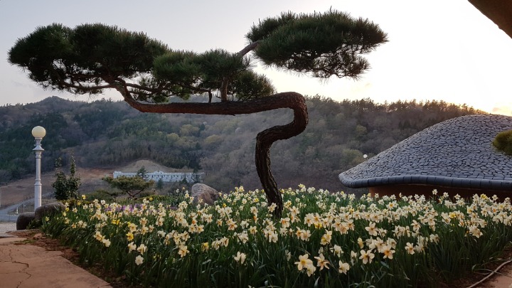 골망태 이미지