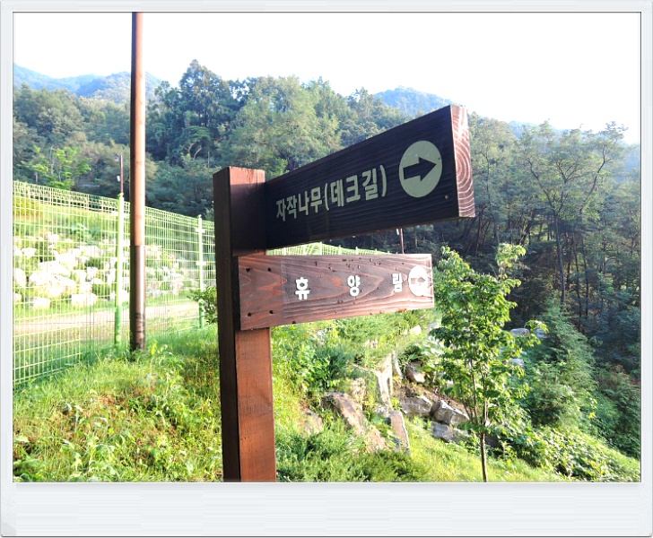 미숭산자연휴양림 이미지