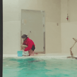 사육사 내가 안마해줄게.gif | 인스티즈