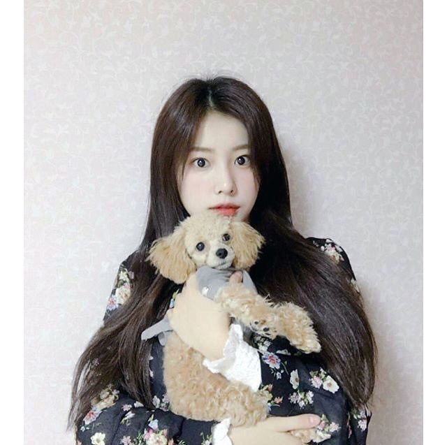 [아이즈원] 주인닮은 아이즈원 강아지들.jpg | 인스티즈