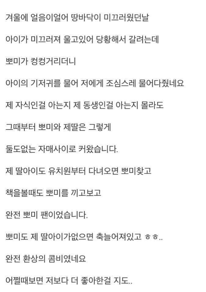 18년키운 강아지가 죽었는데 | 인스티즈