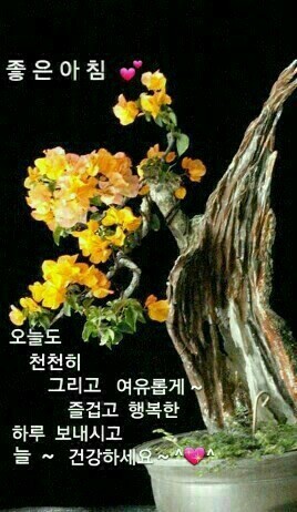 *****1072 이미지