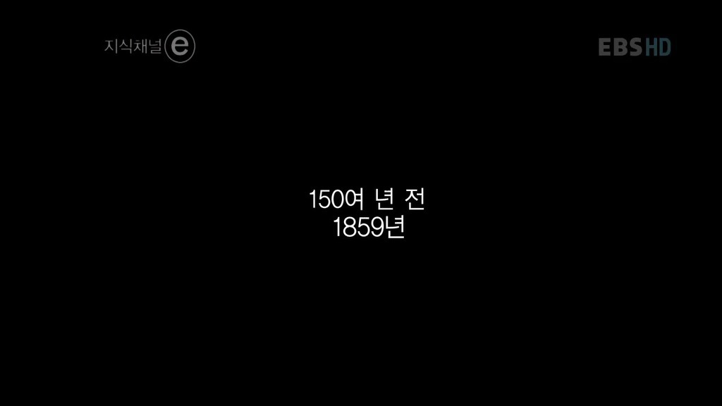 호주의 토끼전쟁 | 인스티즈