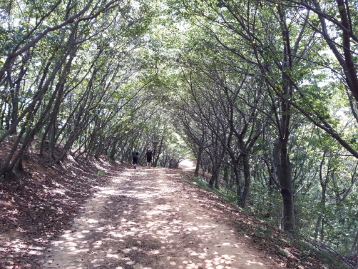 오치골 이미지