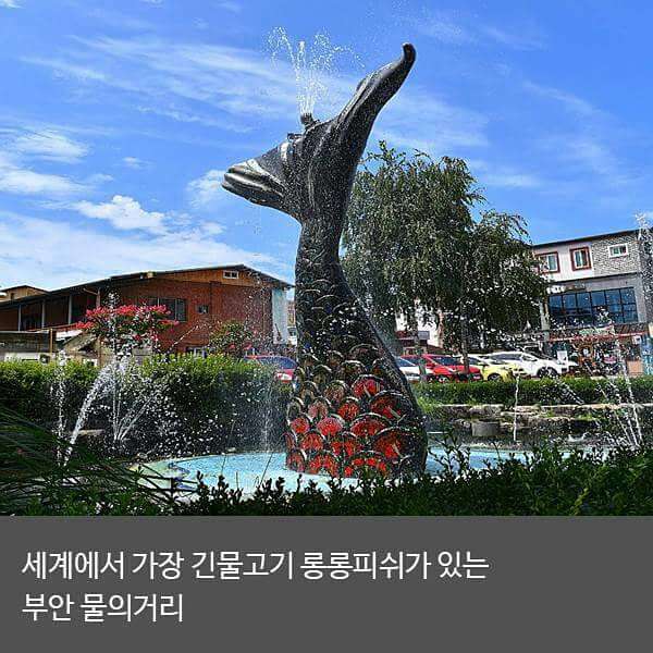 신세계꽃집 이미지