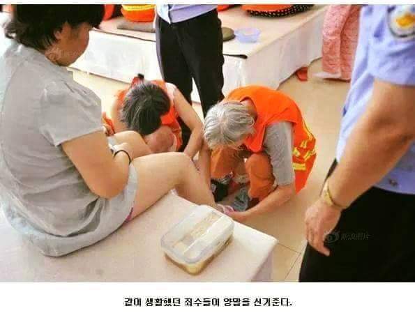 중국의 사형수 | 인스티즈
