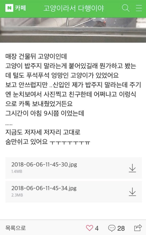 대구애 사시는 도움 주실 집사님들만! | 인스티즈