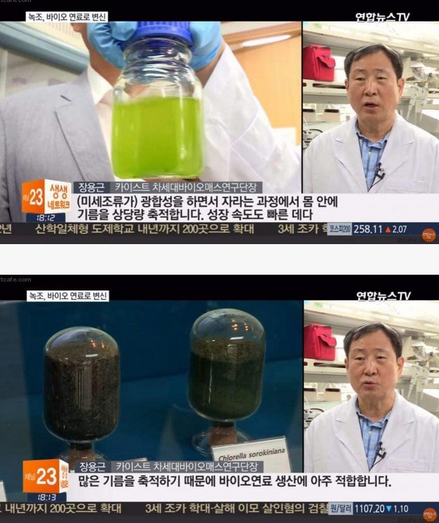 산유국이 된 한국....jpg | 인스티즈