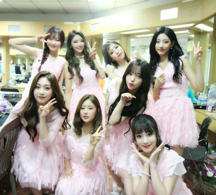 [러블리즈] 고양이들이 더위먹어서 러블리즈 | 인스티즈