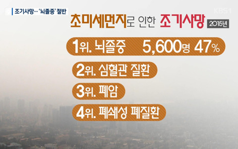 초미세먼지로 인한 조기사망 | 인스티즈