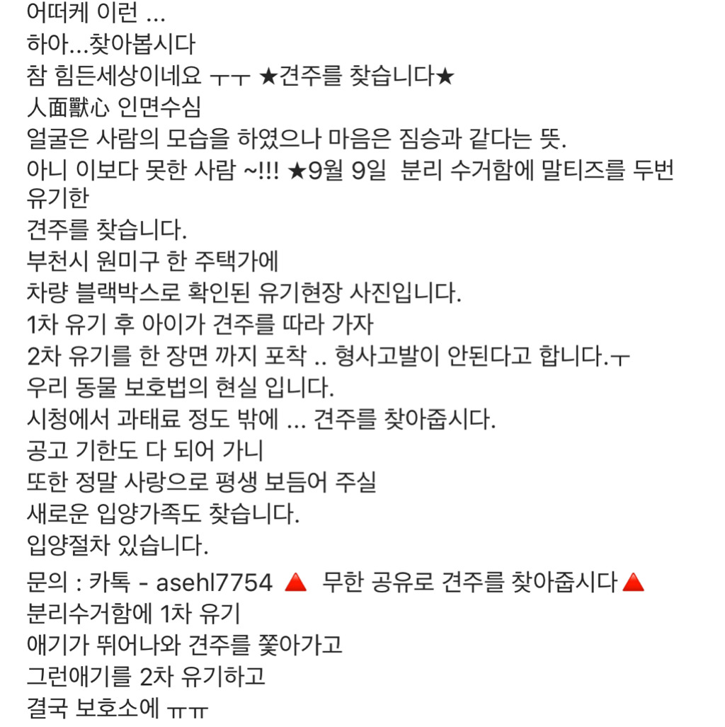 분리수거장에 강아지 유기하는 인면수심.jpg | 인스티즈