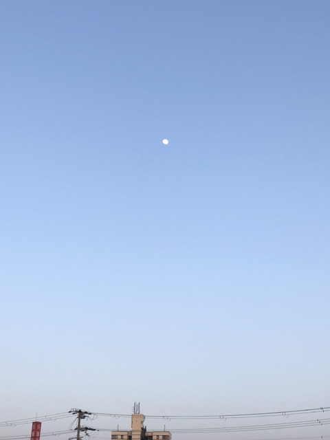 지아이안경 이미지
