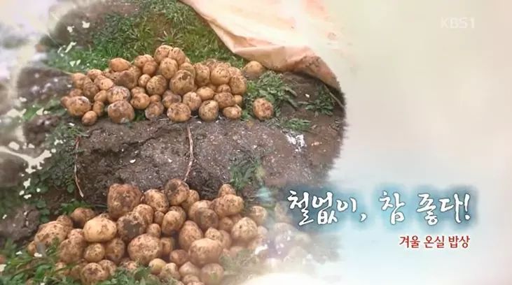 한국인의 밥상 - 겨울 온실 밥상 | 인스티즈