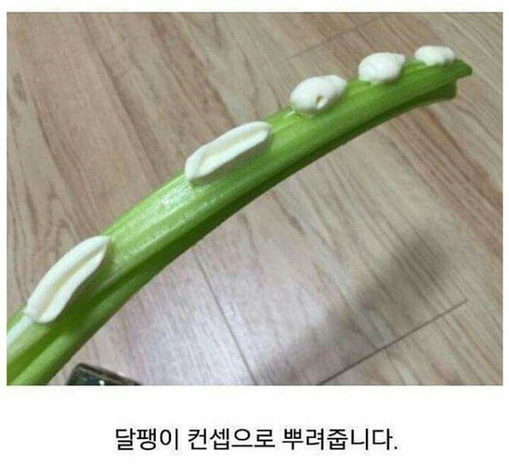 어느 한 블로거의 의식의 흐름.jpg (ㄹㅇ의식의 흐름 주의) (묘하게 논리적 주의) | 인스티즈
