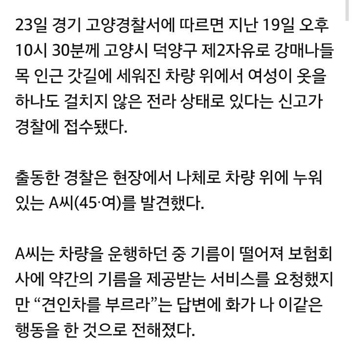 자유로 갓길서 나체로 차 위에 누운 40대女 입건 | 인스티즈