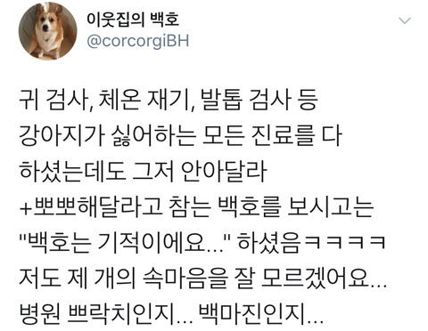 댕댕이의 고정픽은 동물병원 원장님 | 인스티즈