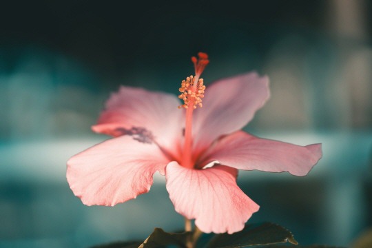  함께 밥을 먹는 것 | 인스티즈