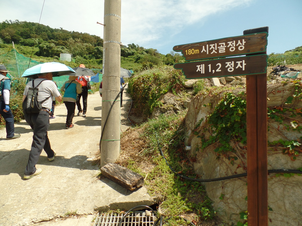 꽃섬식당 이미지