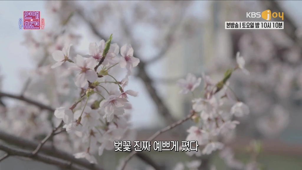 [연애의참견] 내 남자친구는 12살 연하.jpg | 인스티즈