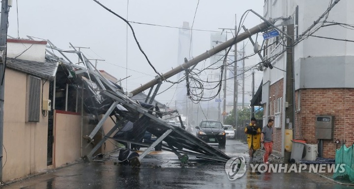 솔릭이 강타한 제주도 상황.jpg | 인스티즈