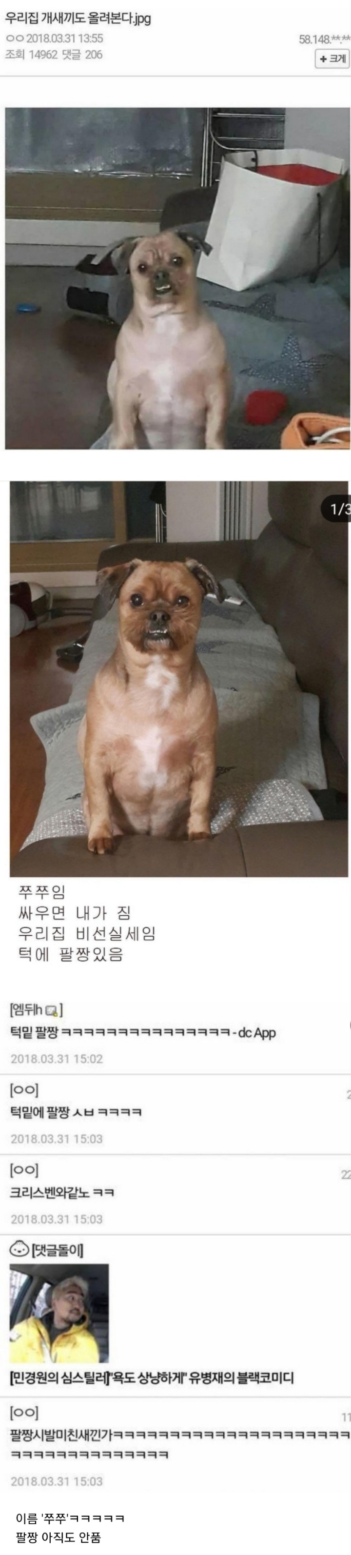 턱에 팔짱끼고있는 댕댕이.jpg | 인스티즈