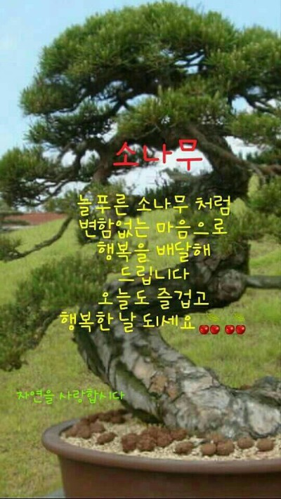 황우 이미지