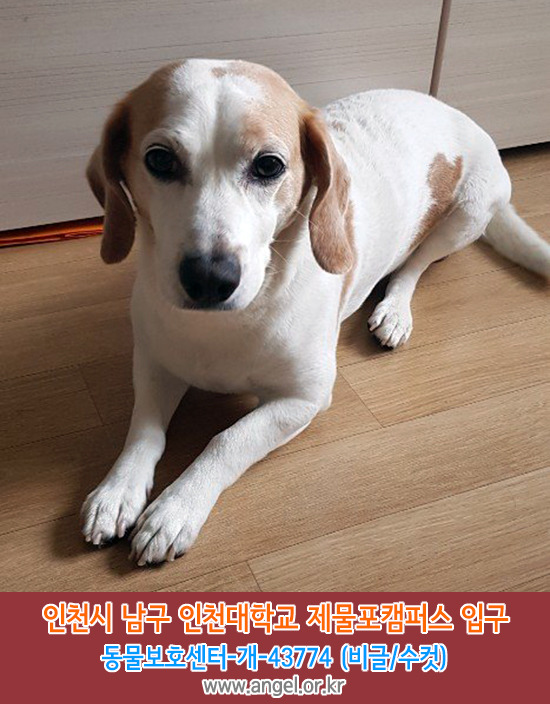 수컷 이미지
