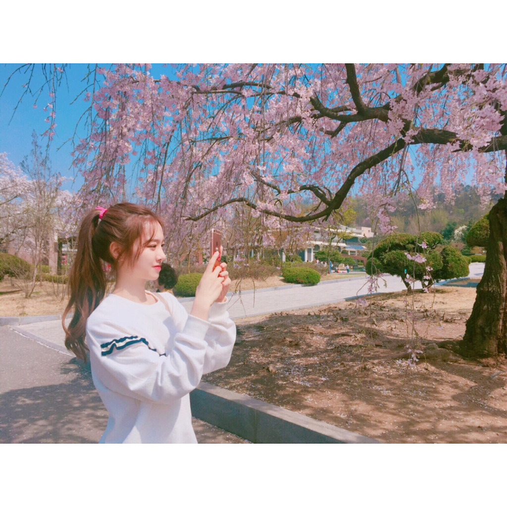 배우 진세연.jpgif | 인스티즈