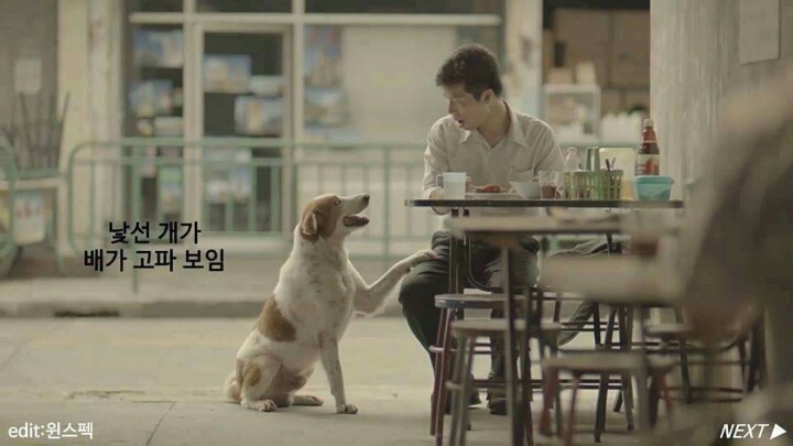 전세계를 울린 태국의 공익광고 | 인스티즈