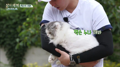 [삼시세끼] 처음 본 잭슨 때문에 놀라서 귱집사 팔 꼬옥 붙드는 고양이 쿵이.gif | 인스티즈