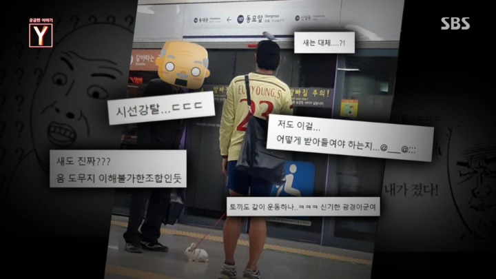 지하철에 토끼를 데리고타던 토끼남 그의 사연 | 인스티즈