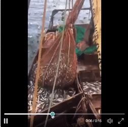 밥먹는데 보쌈당한 녀석 | 인스티즈