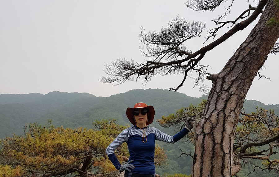 노송쉼터 이미지