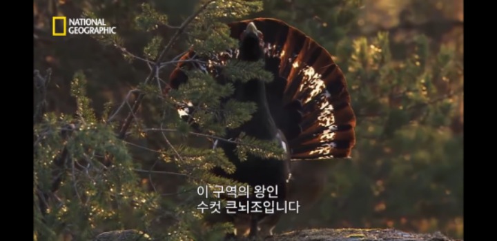 분노조절을 잘 해야하는 이유 | 인스티즈