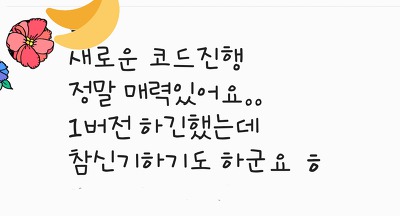 코드카멜레온 이미지
