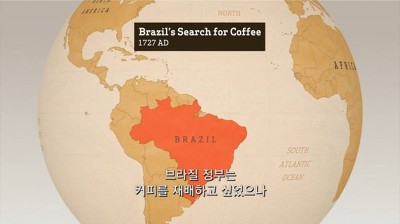 우리가 커피를 값싸게 먹을수 있는 이유 | 인스티즈